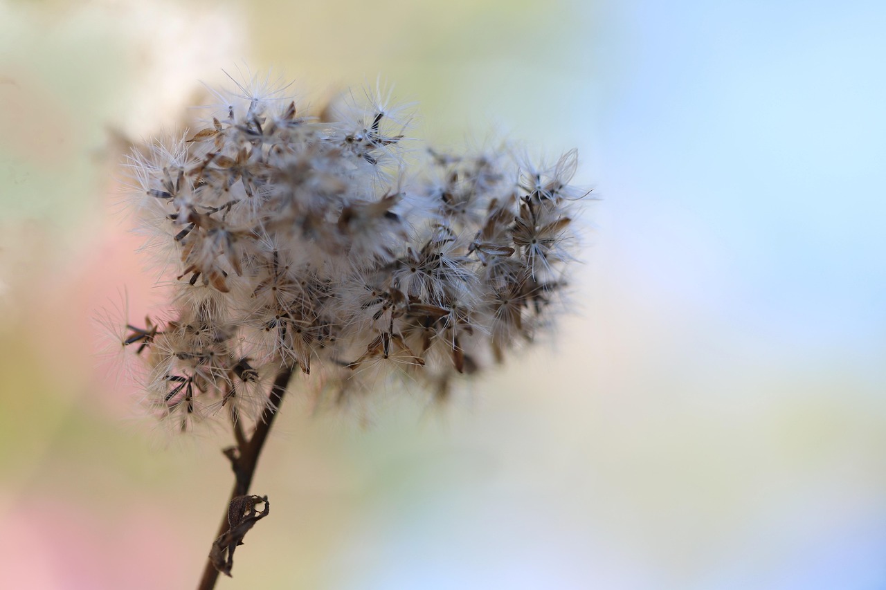 water-fume-6709180_1280